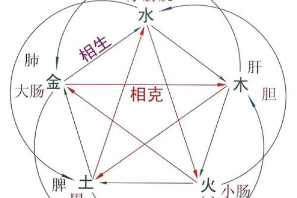 【揭秘】八字与体型关系的重要性