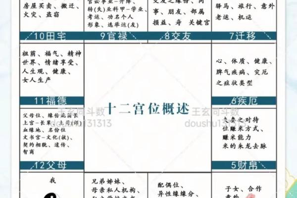 紫薇斗数宫位阴阳