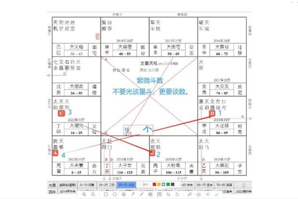 紫薇斗数嫁得好