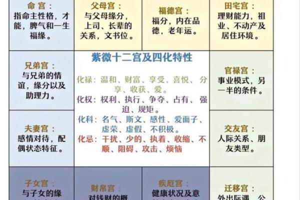 流年紫薇斗数空曜