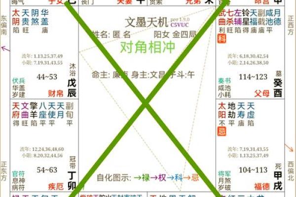 紫薇斗数与八字信息相通