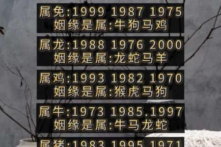 姻缘免费 姻缘免费算命？
