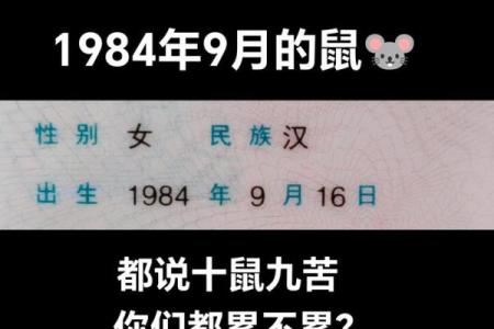 婚姻算命：84年鼠40岁的感情运势如何