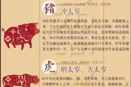 签灵足鸡解签