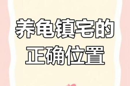 房子风水中乌龟串堂