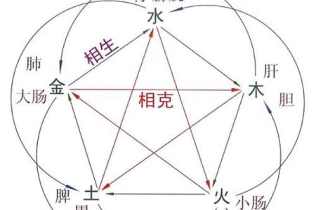 【揭秘】八字与体型关系的重要性