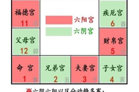 紫薇斗数宫位阴阳