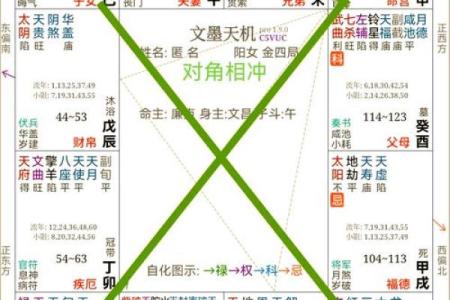 紫薇斗数与八字信息相通