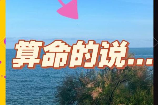 你觉得算命真的神奇吗视频