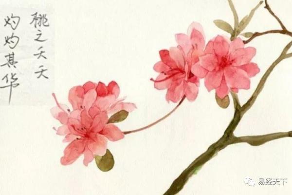 红颜薄命，青丝泪染，一个命犯桃花的女命八字