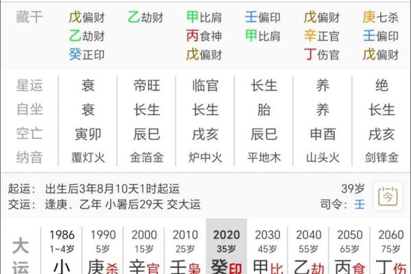 《甲木亥月性格解析及命运分析，详细揭秘八字特点》