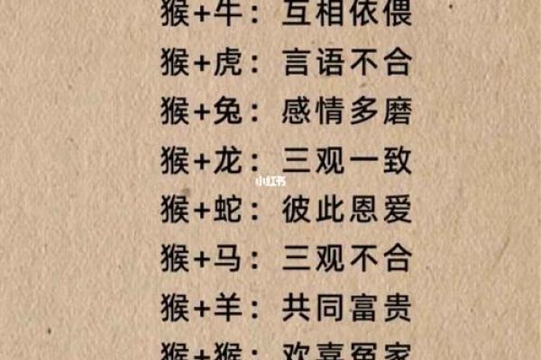 八字合婚 鼠和狗的属相适合做夫妻吗