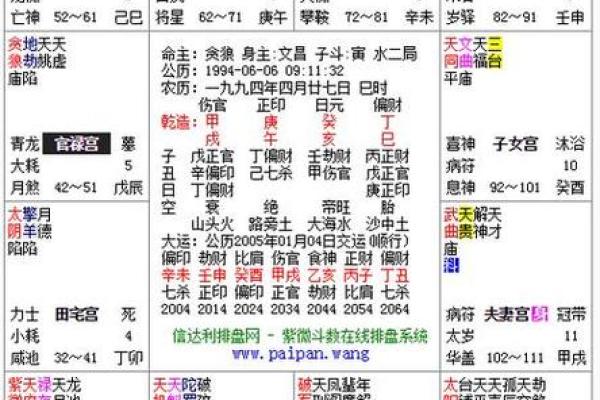 紫微斗数ios 紫微斗数免费排命盘？