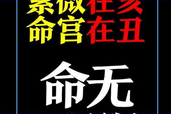 紫微斗数ios 紫微斗数免费排命盘？