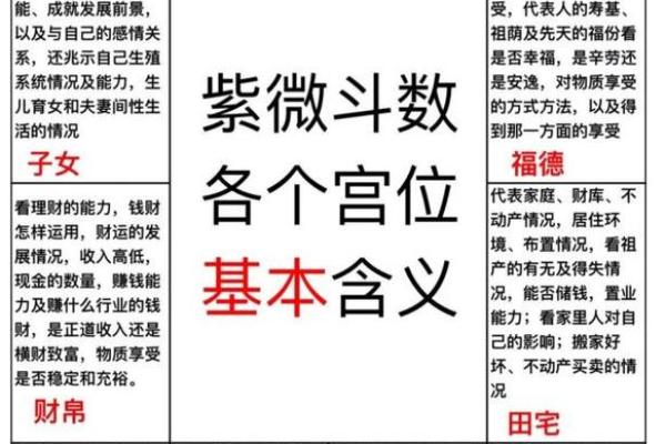 紫薇斗数中看长相