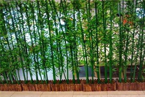 家庭风水家里种黄金竹好吗招财聚宝