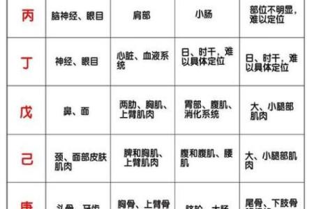 算命八字分析
