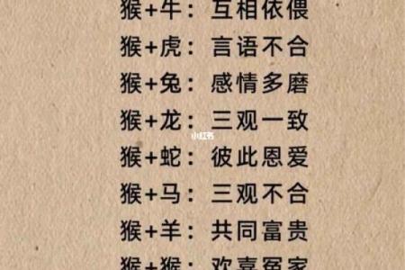八字合婚 鼠和狗的属相适合做夫妻吗
