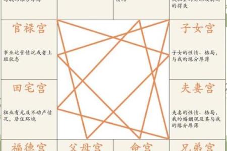 排紫薇斗数流年