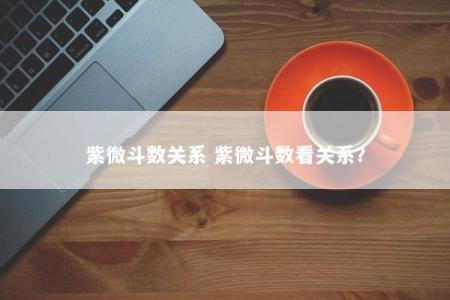 紫微斗数关系 紫微斗数看关系？