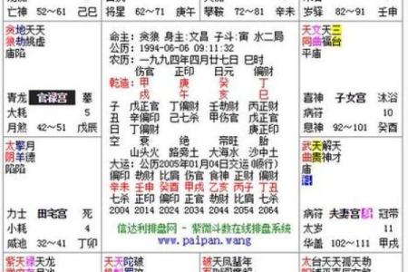 紫微斗数ios 紫微斗数免费排命盘？
