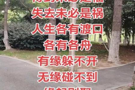 有缘无分的八字