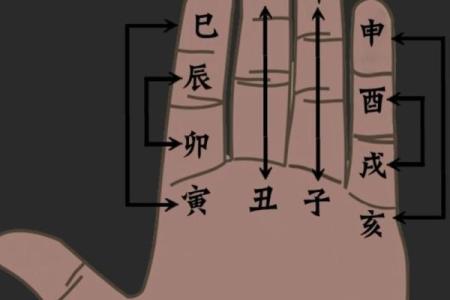 八字干支直断秘诀 如何利用八字干支进行直接断言