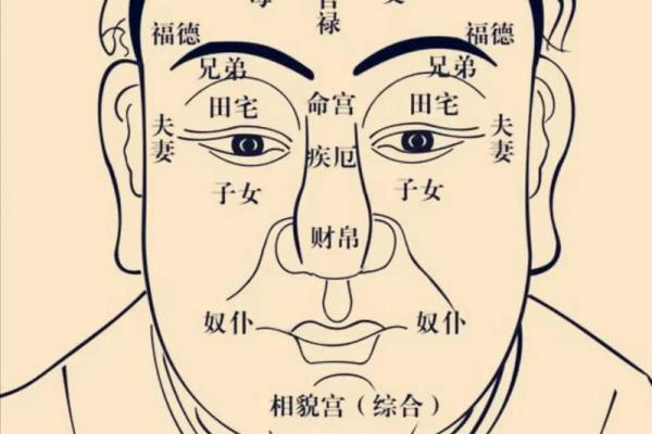 紫薇斗数有钱女命