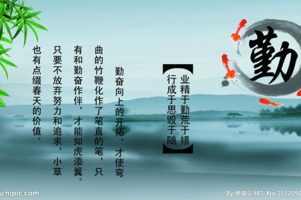 「日月二德」详解，让你的八字转运如虎添翼！