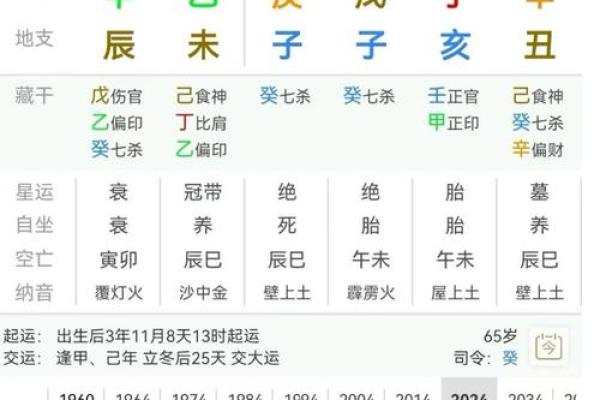 八字地支财生杀 八字地支财亡生旺