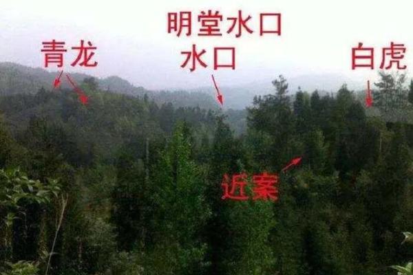 什么是阴宅？阴宅风水入门知识