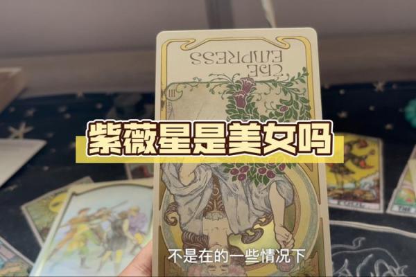 娱乐圈紫薇星