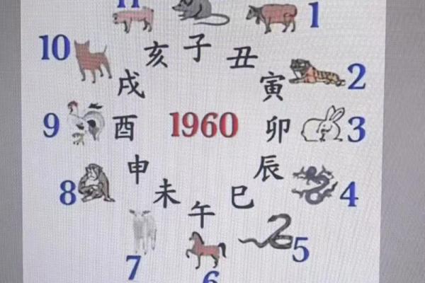 四柱与紫薇斗数与奇门
