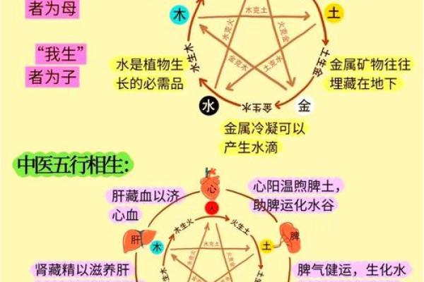 风水师讲解阴阳五行