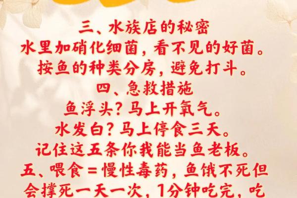 养鱼养几条好-千万注意条数对风水也有大影响