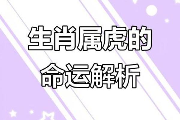 1986年属虎人：八字旺夫命，感情有波折