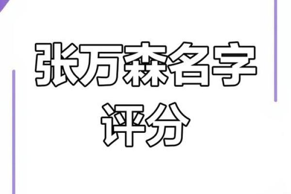 姓名免费测试打分100分