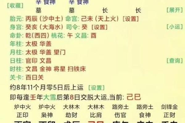 八字己巳日