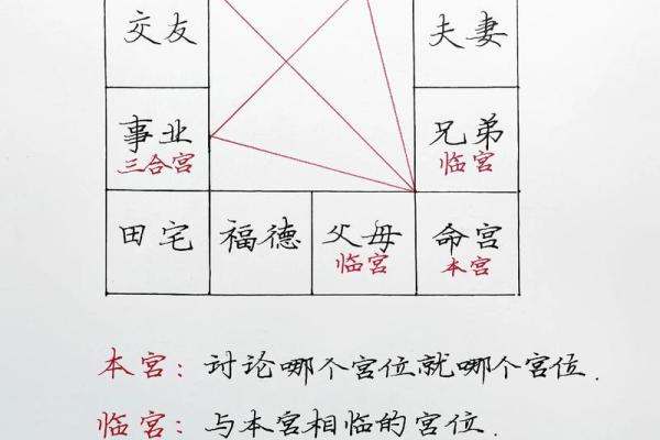 紫薇斗数国运