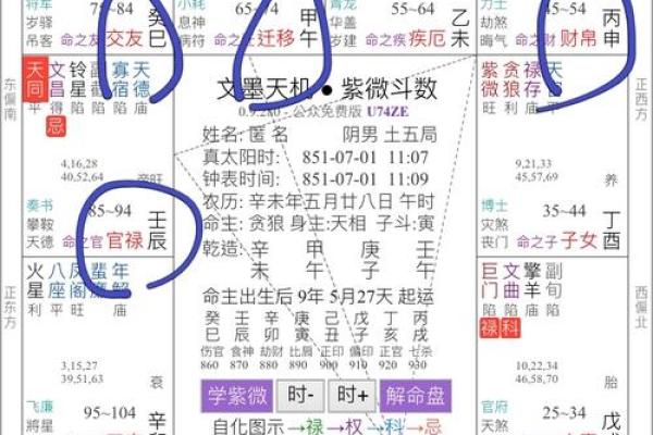 紫薇斗数国运