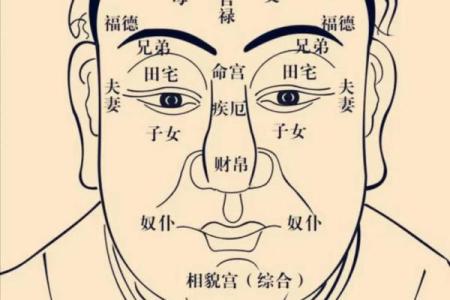 紫薇斗数有钱女命