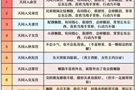 紫薇斗数看有几个男人