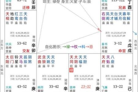 紫薇斗数运势100