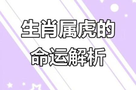 1986年属虎人：八字旺夫命，感情有波折