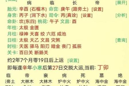 八字己巳日
