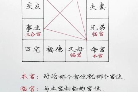 紫薇斗数国运