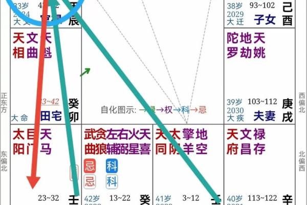 禄马紫薇斗数