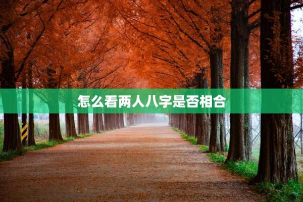 怎么看两个人的八字合不合,算两个人的生辰八字合不合