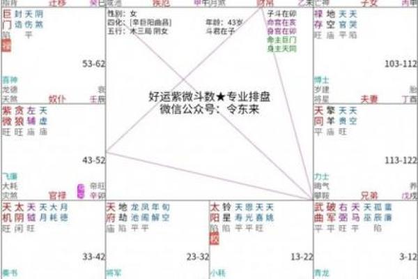 紫薇斗数查流年