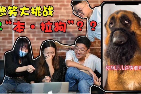 算命先生算狗在哪看